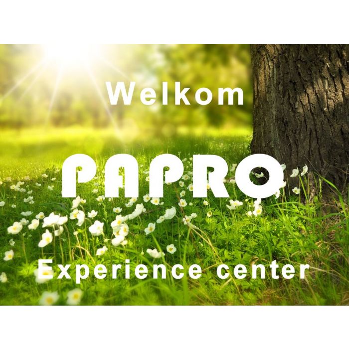 Palletwagen met lage lepels 51mm 1000mm L